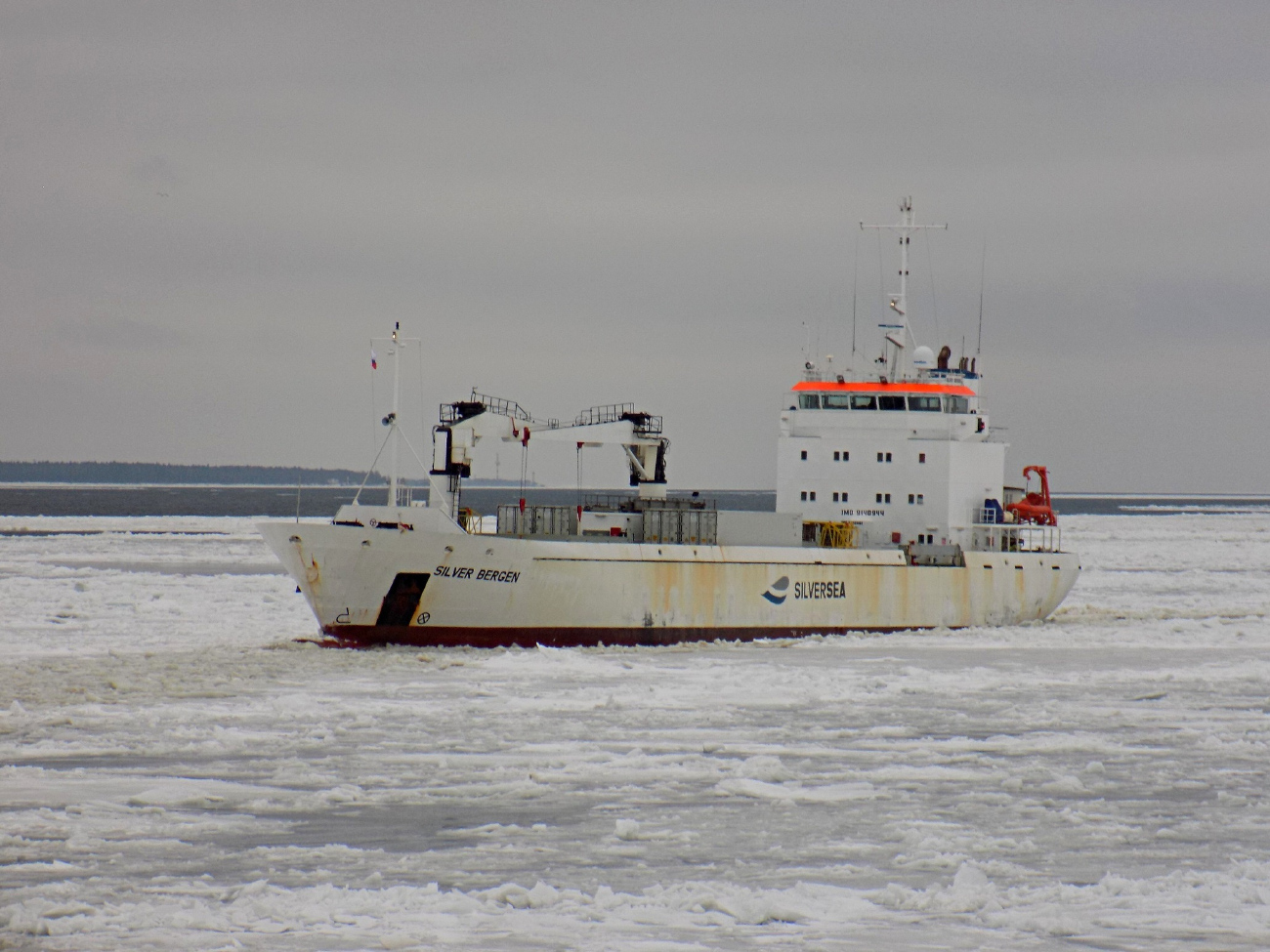 Silver Bergen
