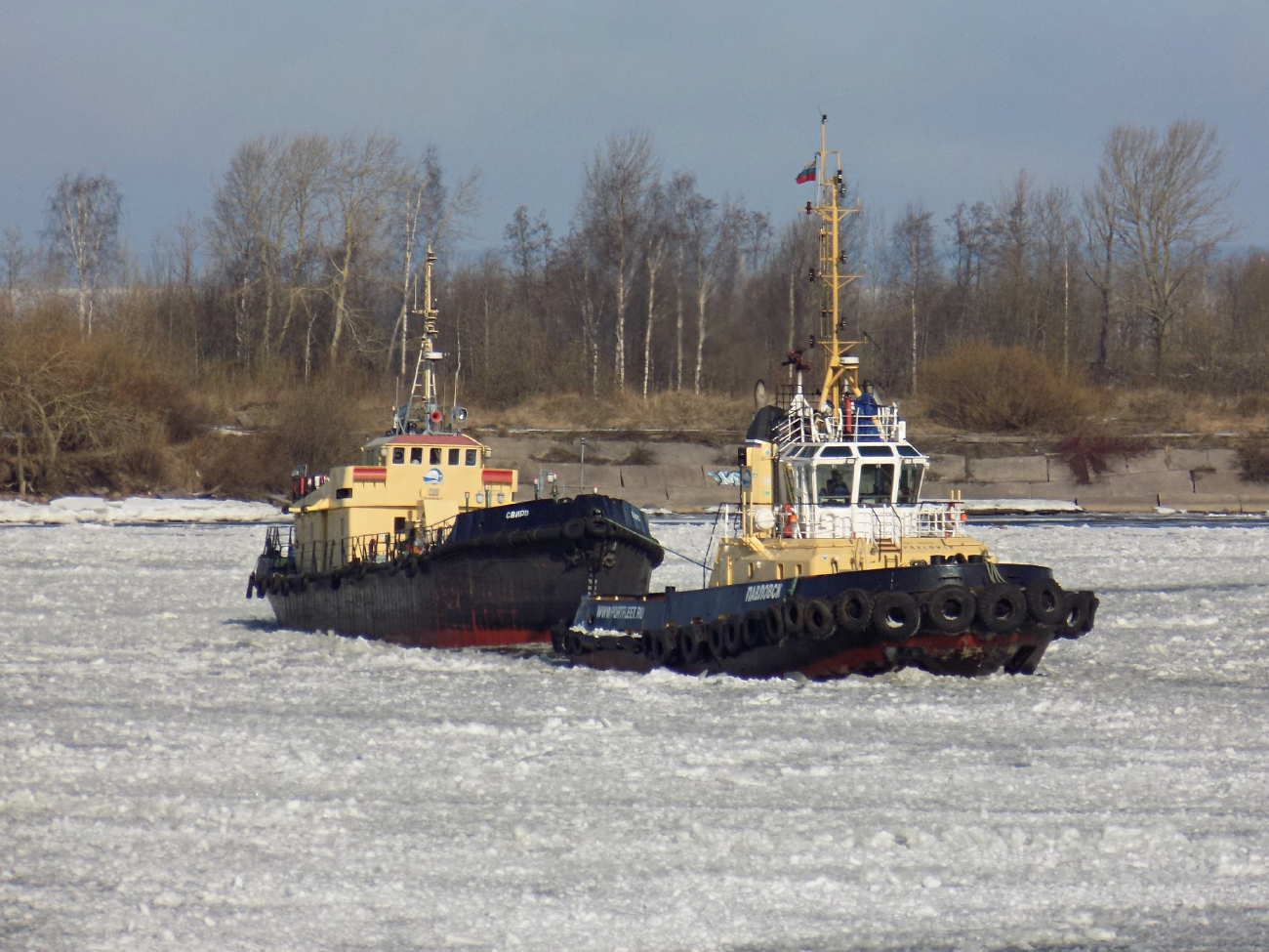 Свирь, Павловск