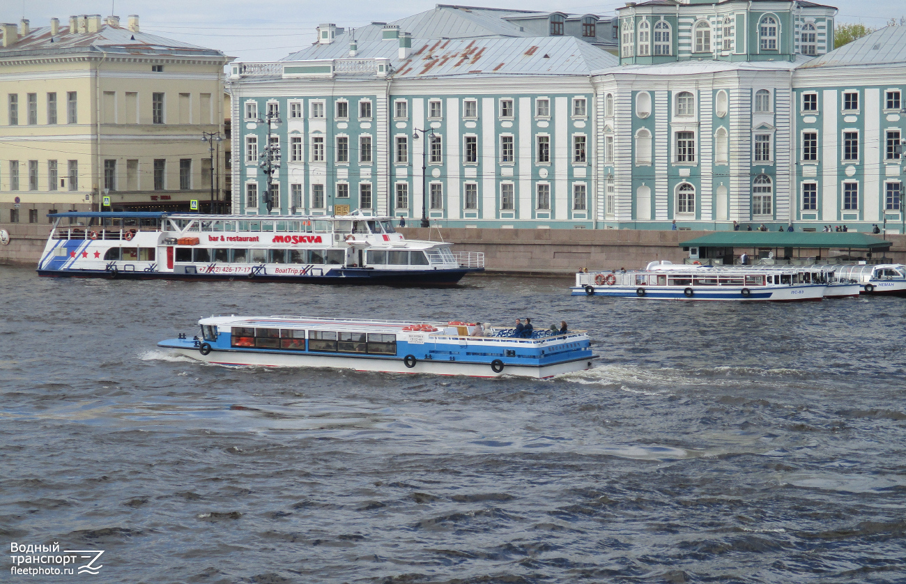 Цесаревич