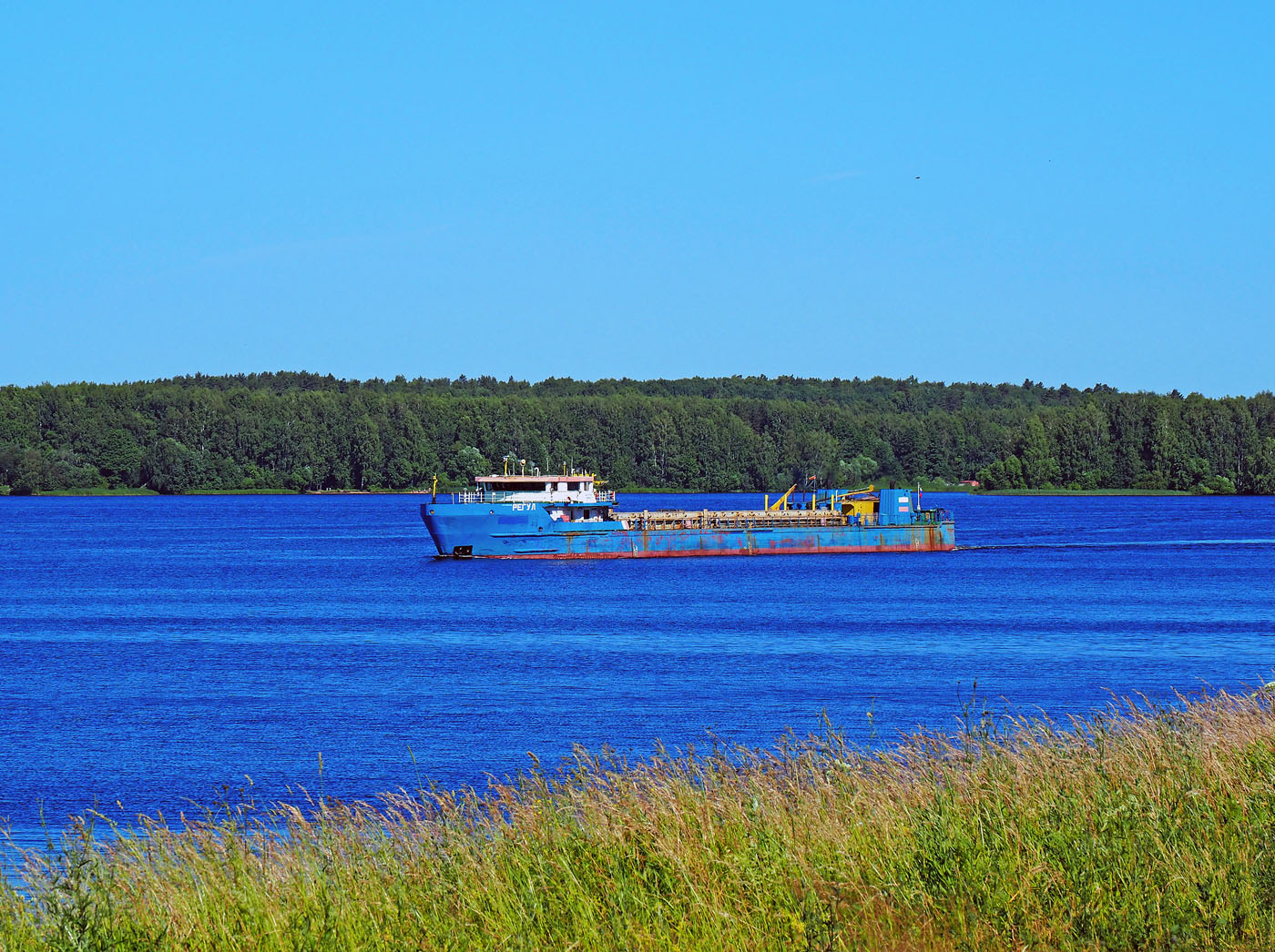 Регул