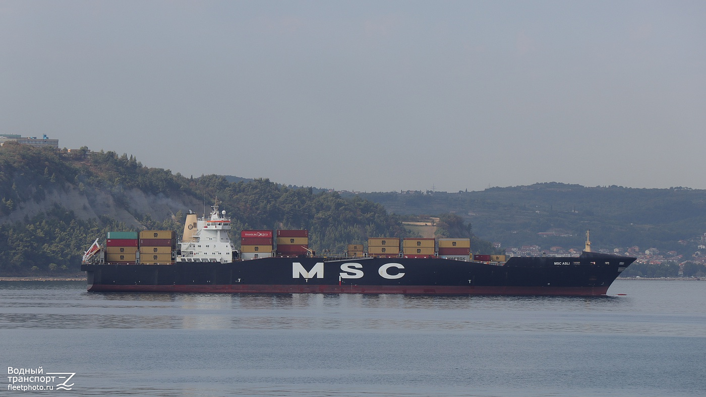 MSC Asli