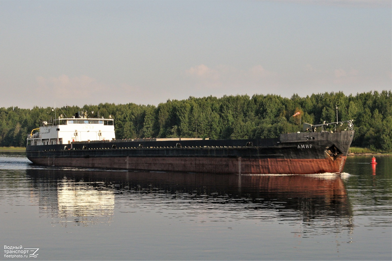 Амир