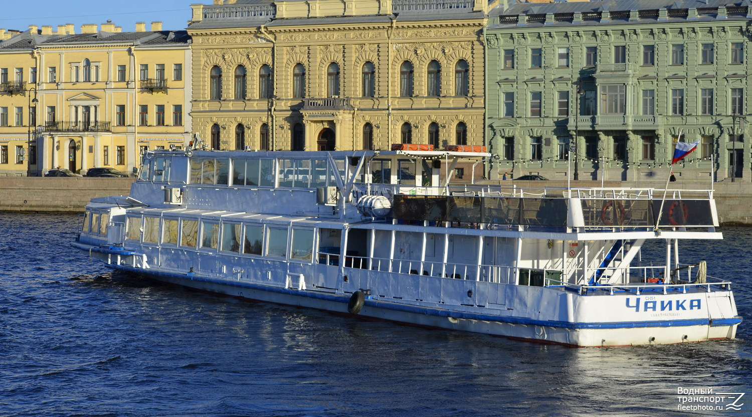 Чайка