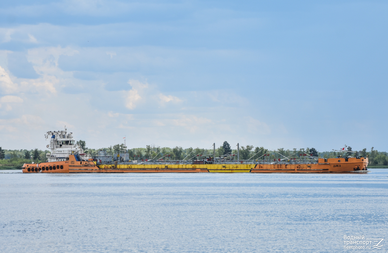 Иракл, Дика