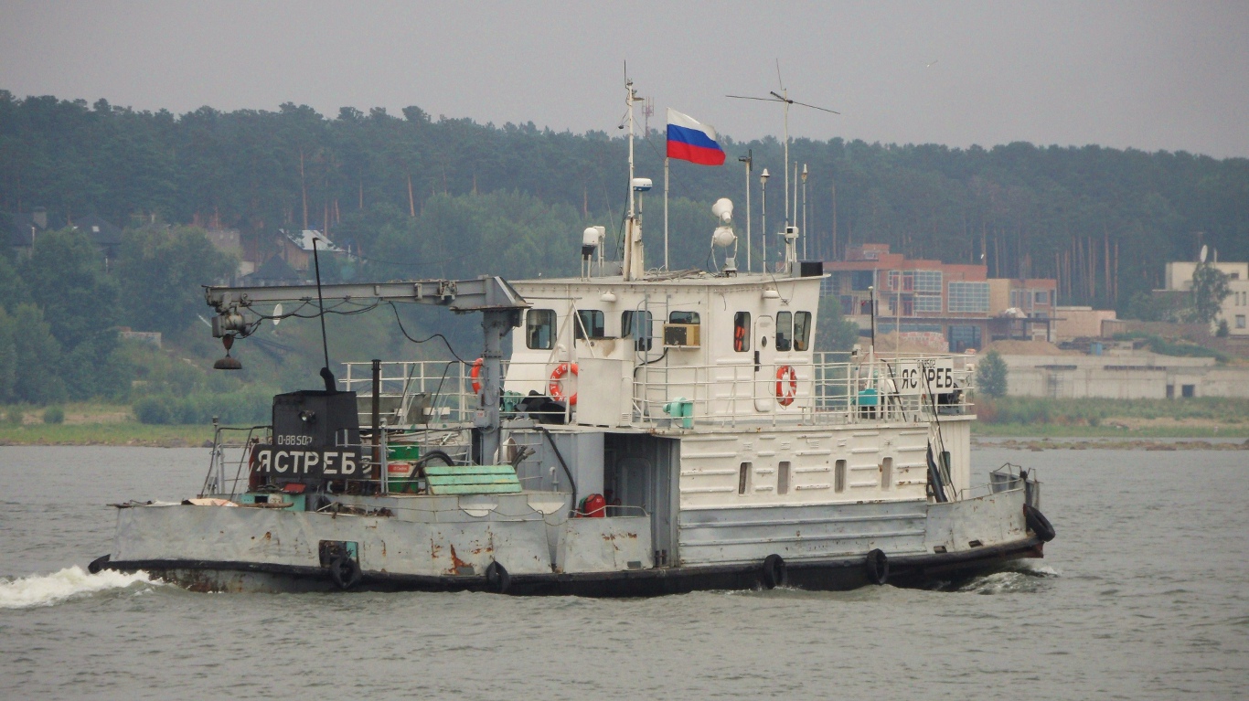 Ястреб
