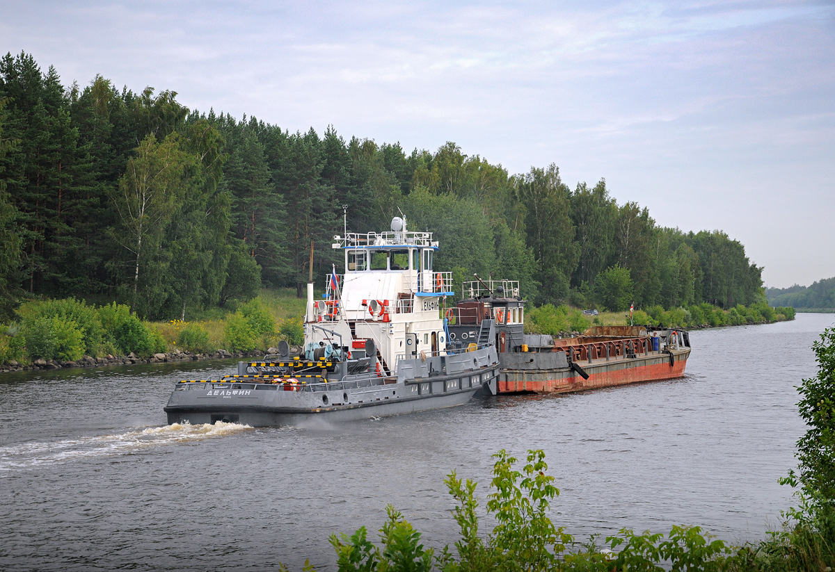 Дельфин, ШС-11