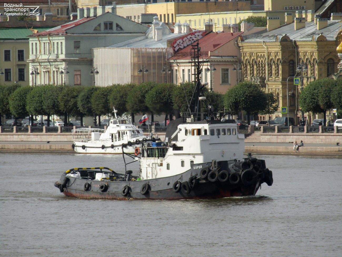 Авентура, Борей