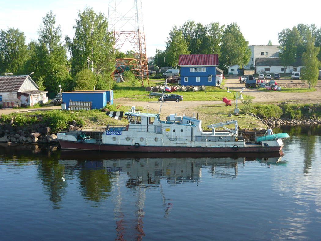 Сокол