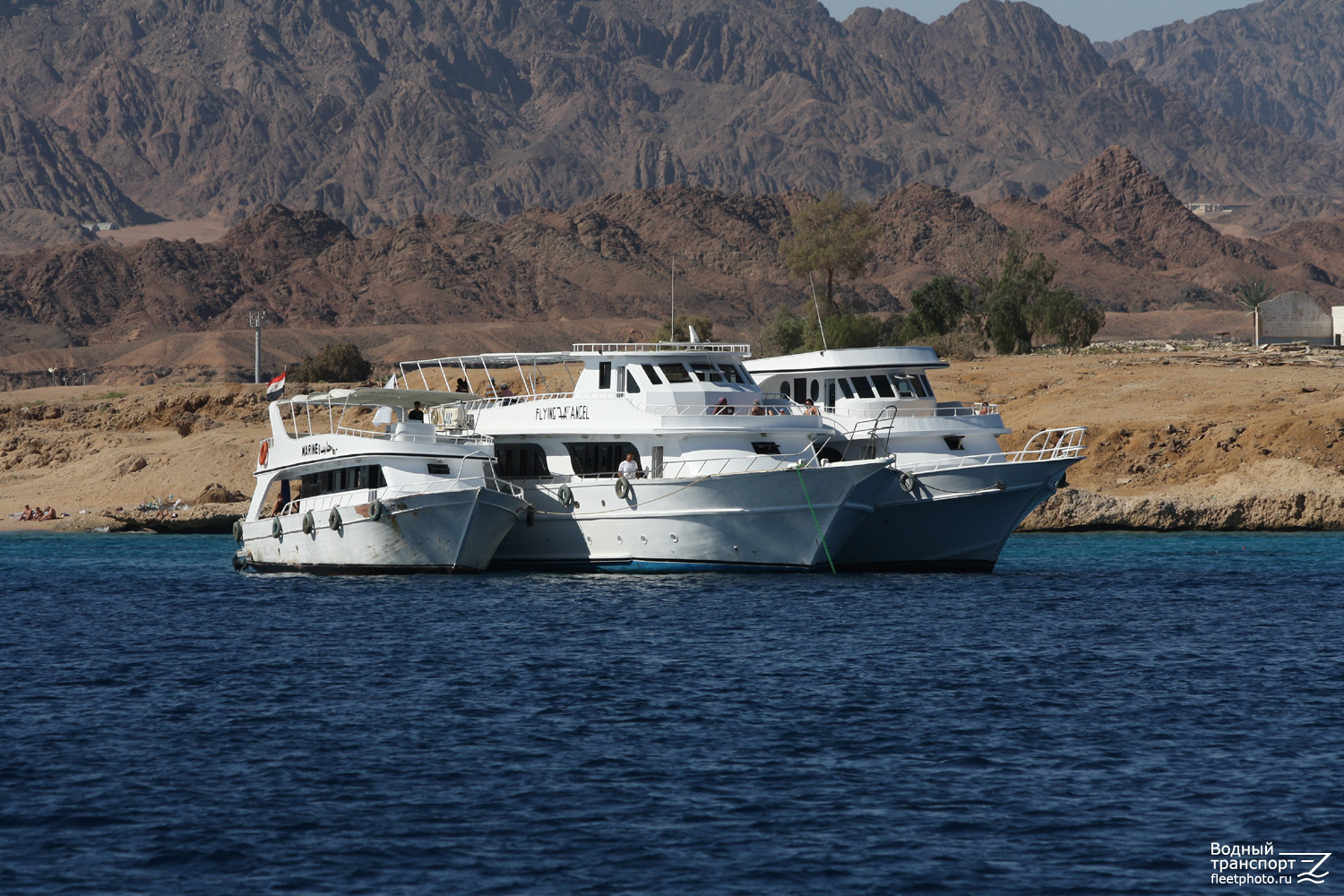 Marine 8, Flying Angel