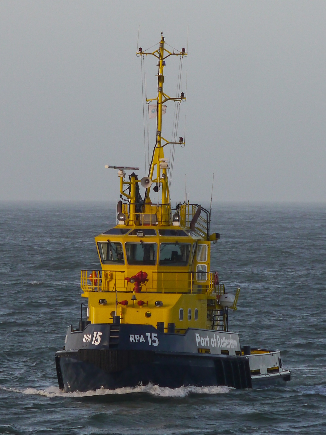 RPA 15