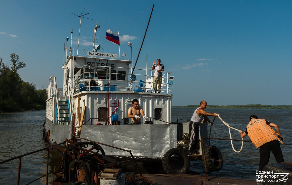 Ястреб