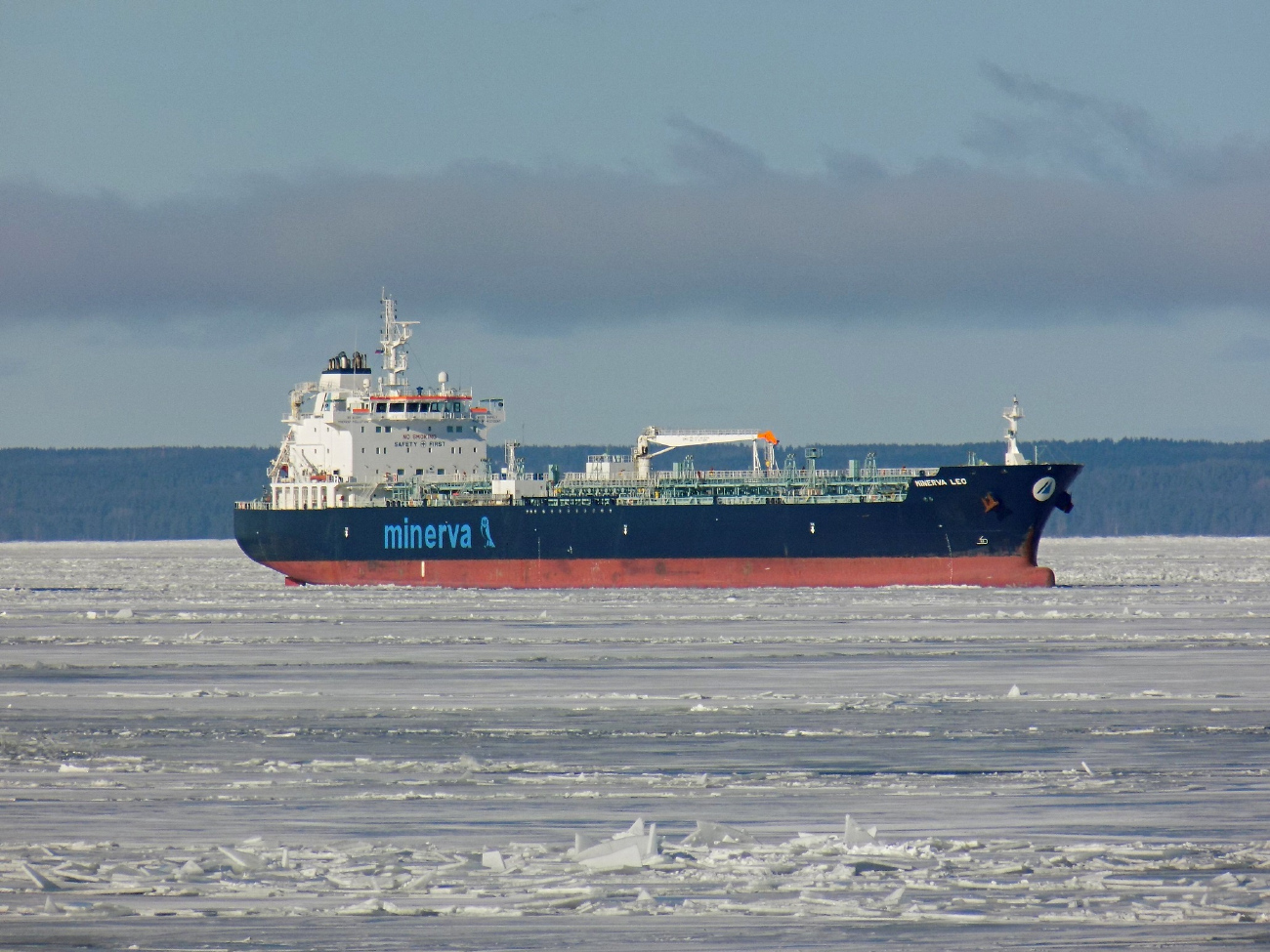 Minerva Leo