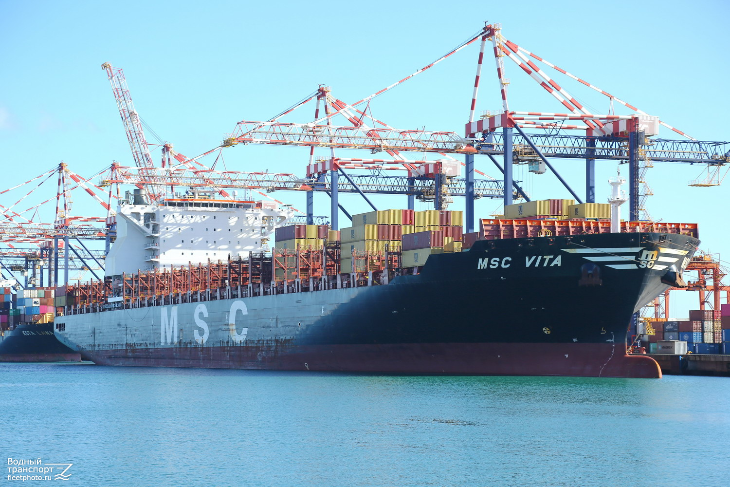 MSC Vita