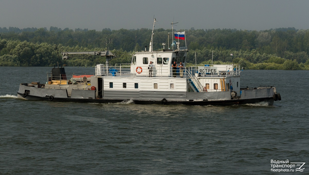 Ястреб