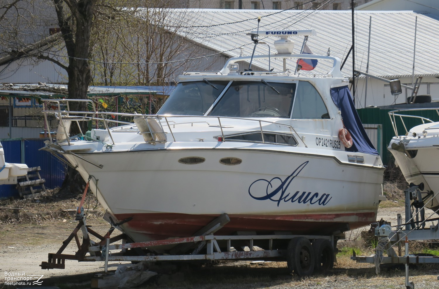 Алиса