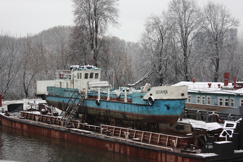 Цесарка, Т-201
