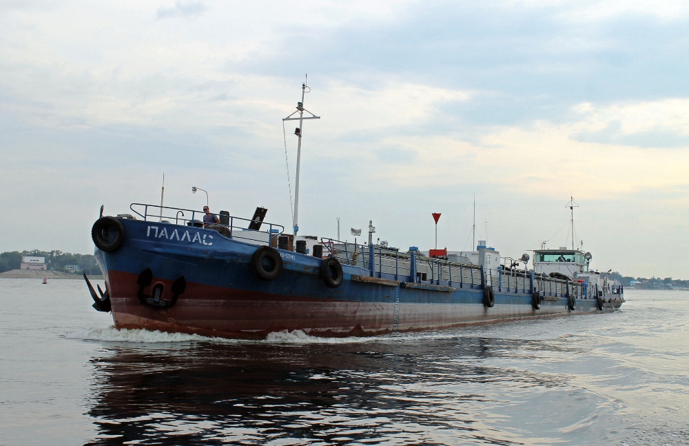 Паллас