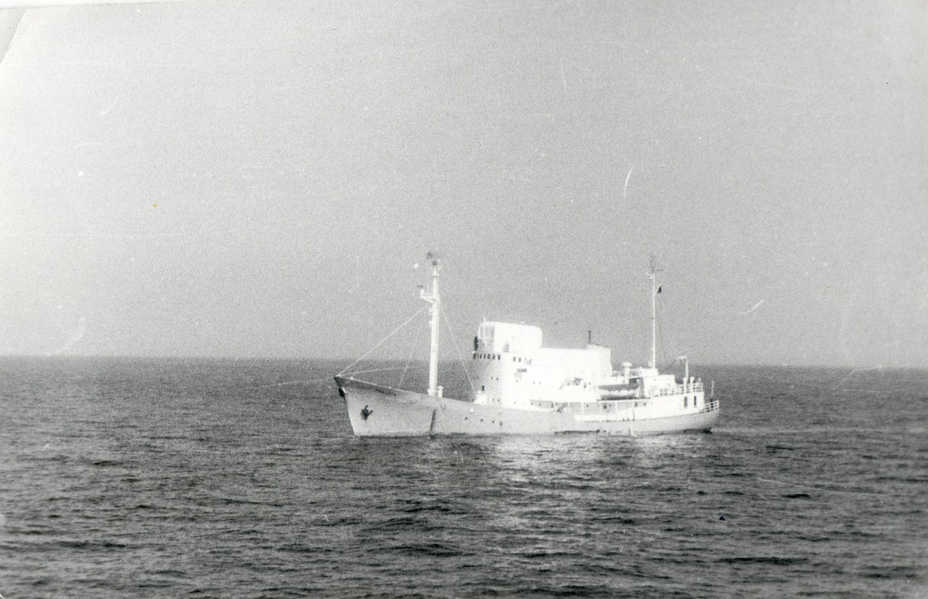 Marjata