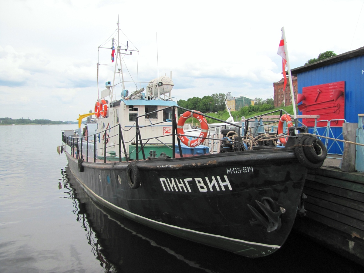 Пингвин