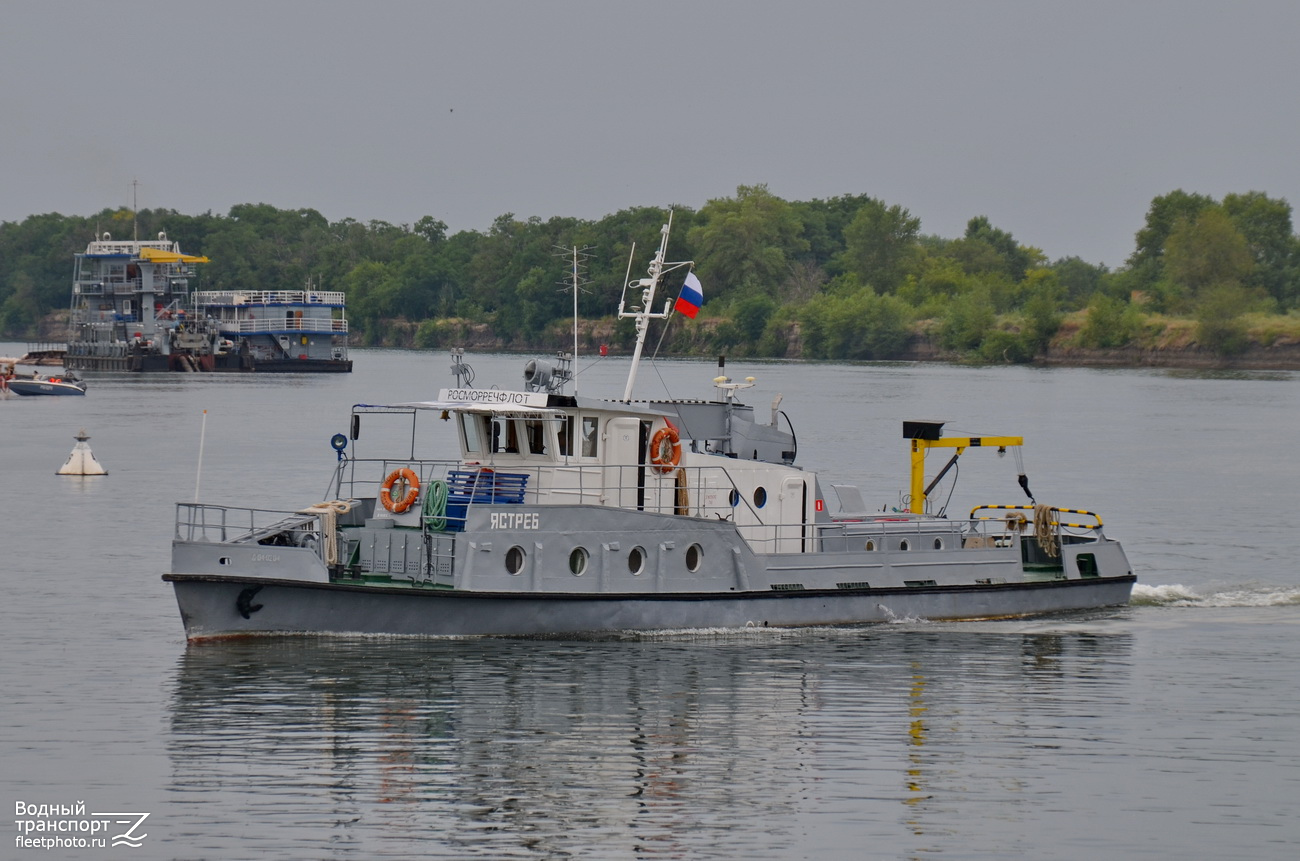 Ястреб