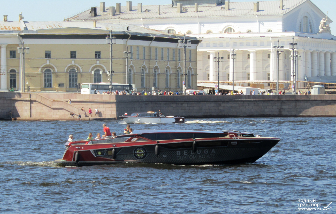 Белуга 42