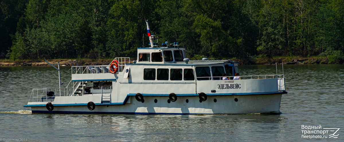Эдельвейс