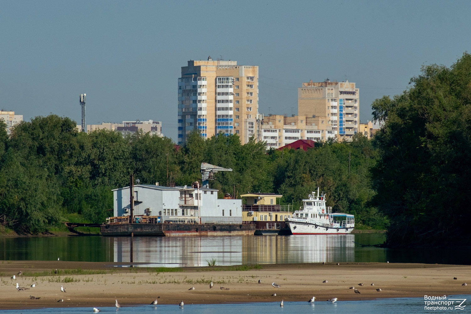 Мартимекс, Авиатор