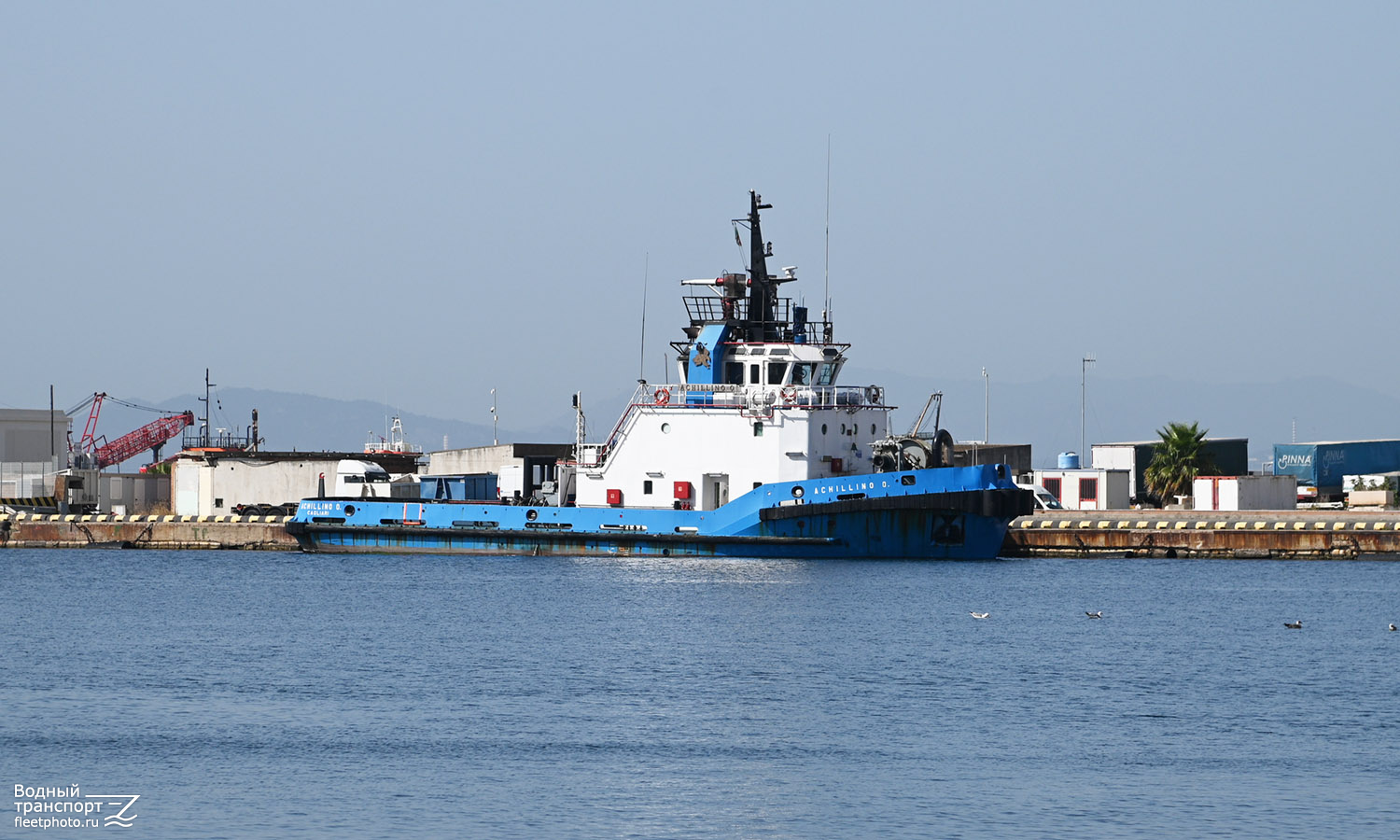 Achillino O.
