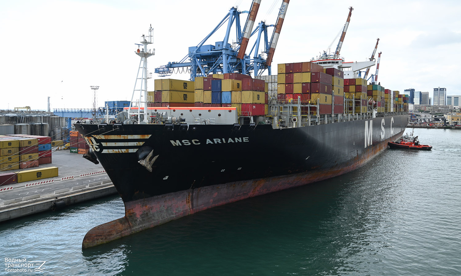 MSC Ariane