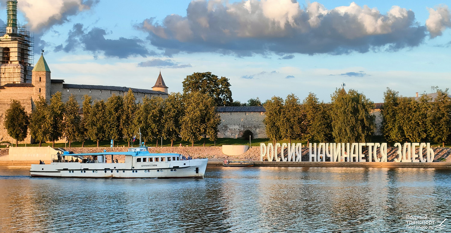 Буревестник