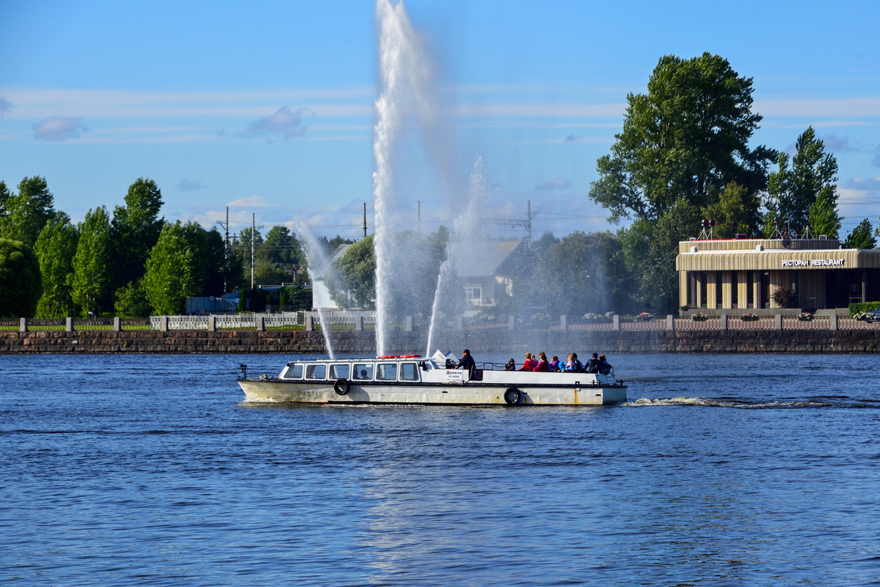 Дельта-1