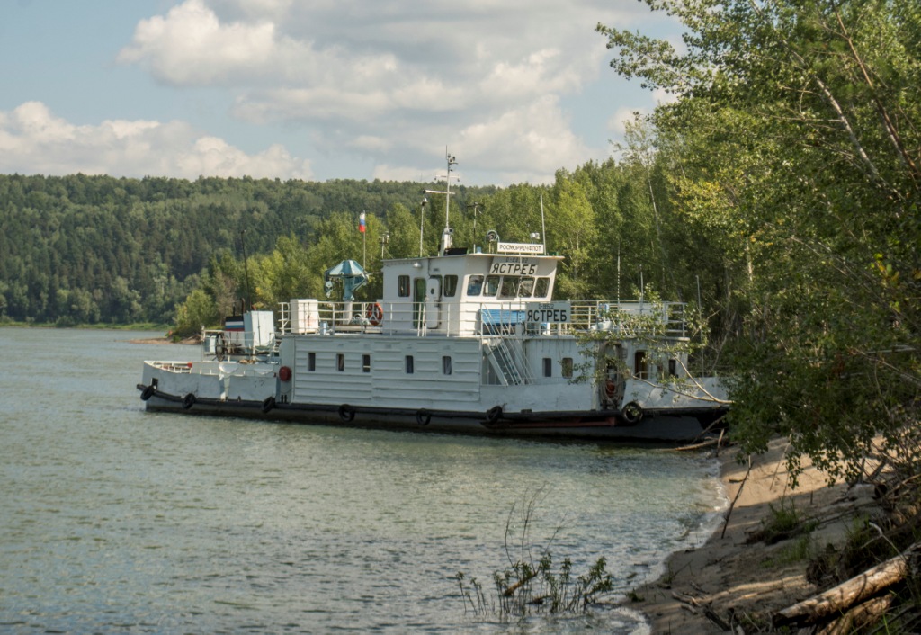 Ястреб