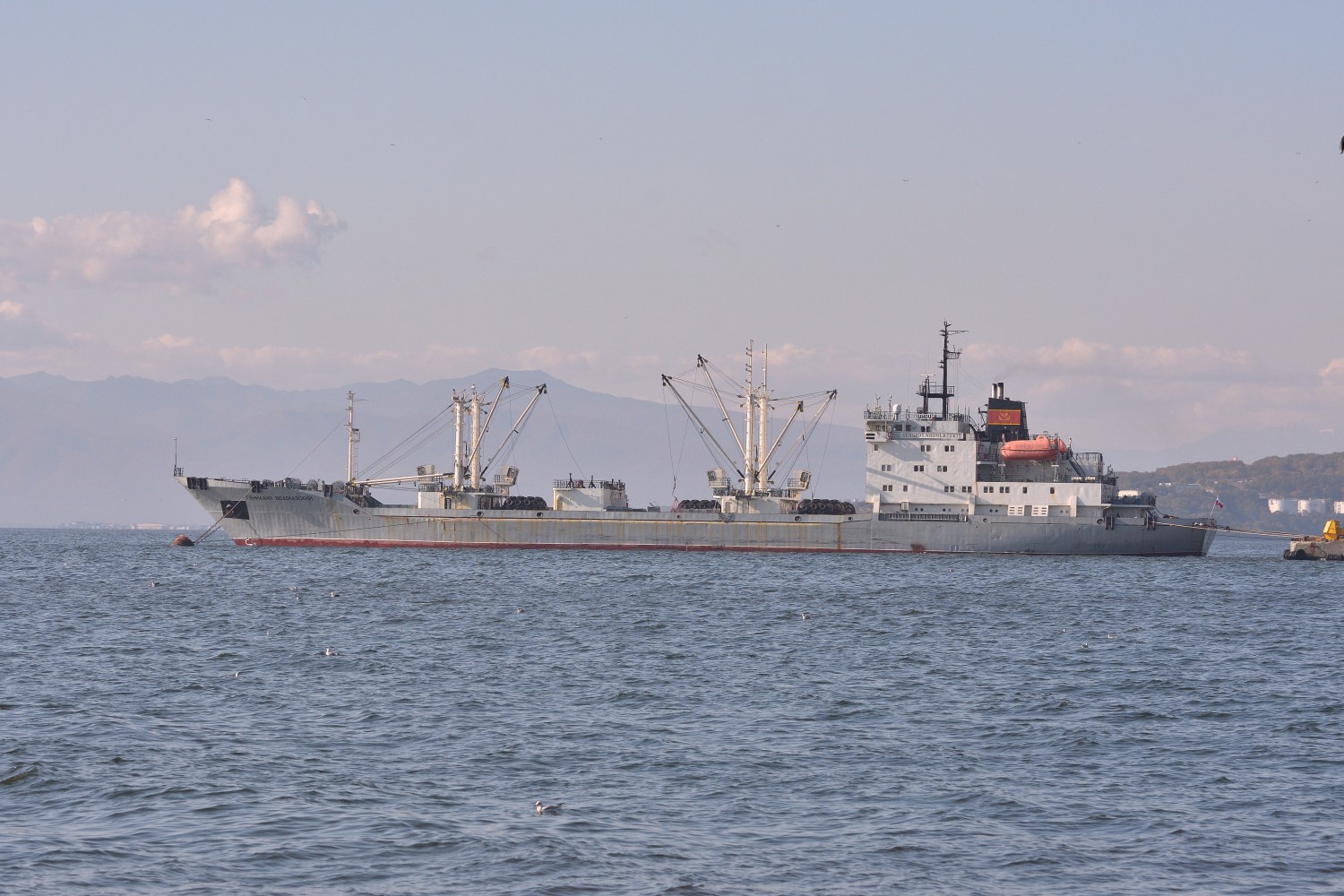 Геннадий Водолазский