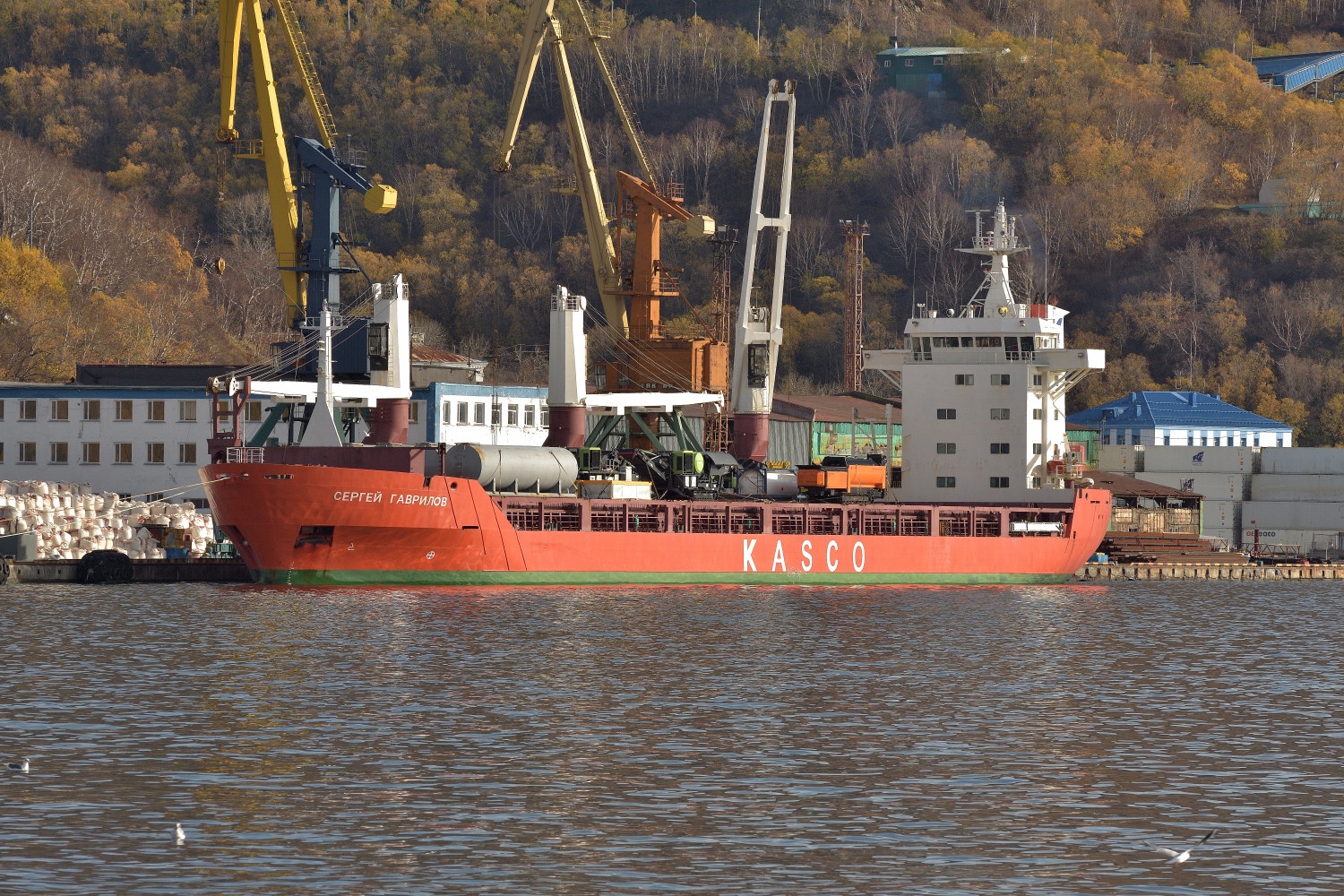 Сергей Гаврилов