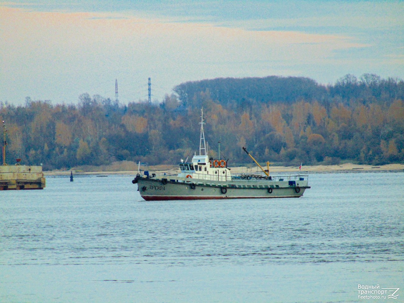 Дрофа