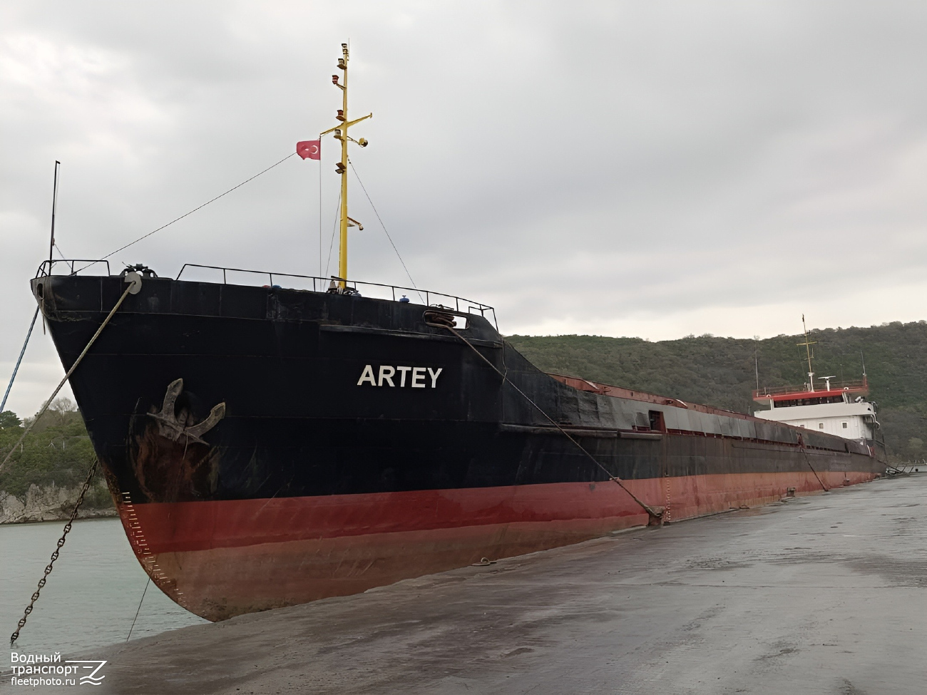 Artey