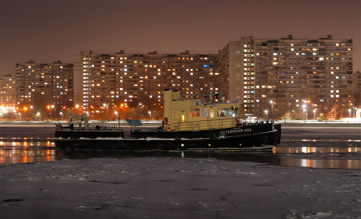 Путейский 602
