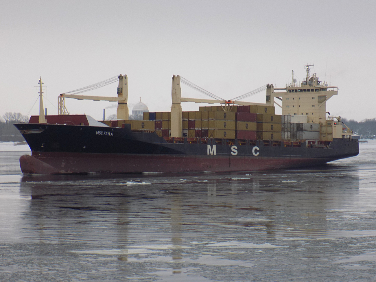 MSC Kayla