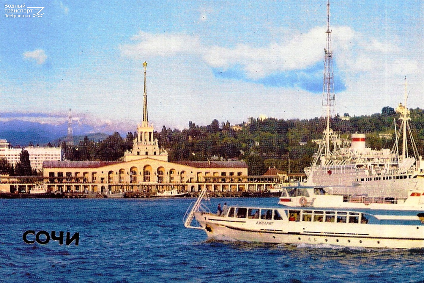 Кипарис. Книги, фотоальбомы и периодические издания