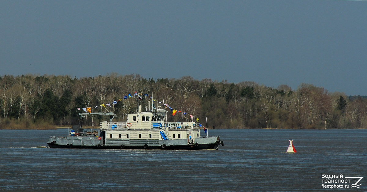 Ястреб