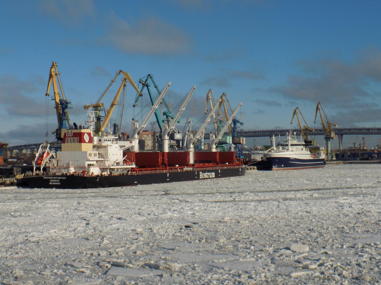 Rostrum Antarctica, Капитан Мартынов