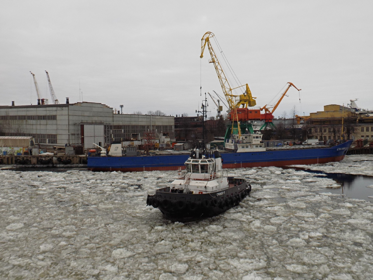 Грифон-5, СТК-1020
