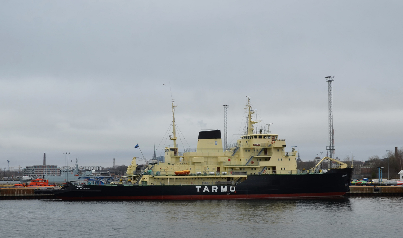 Tarmo