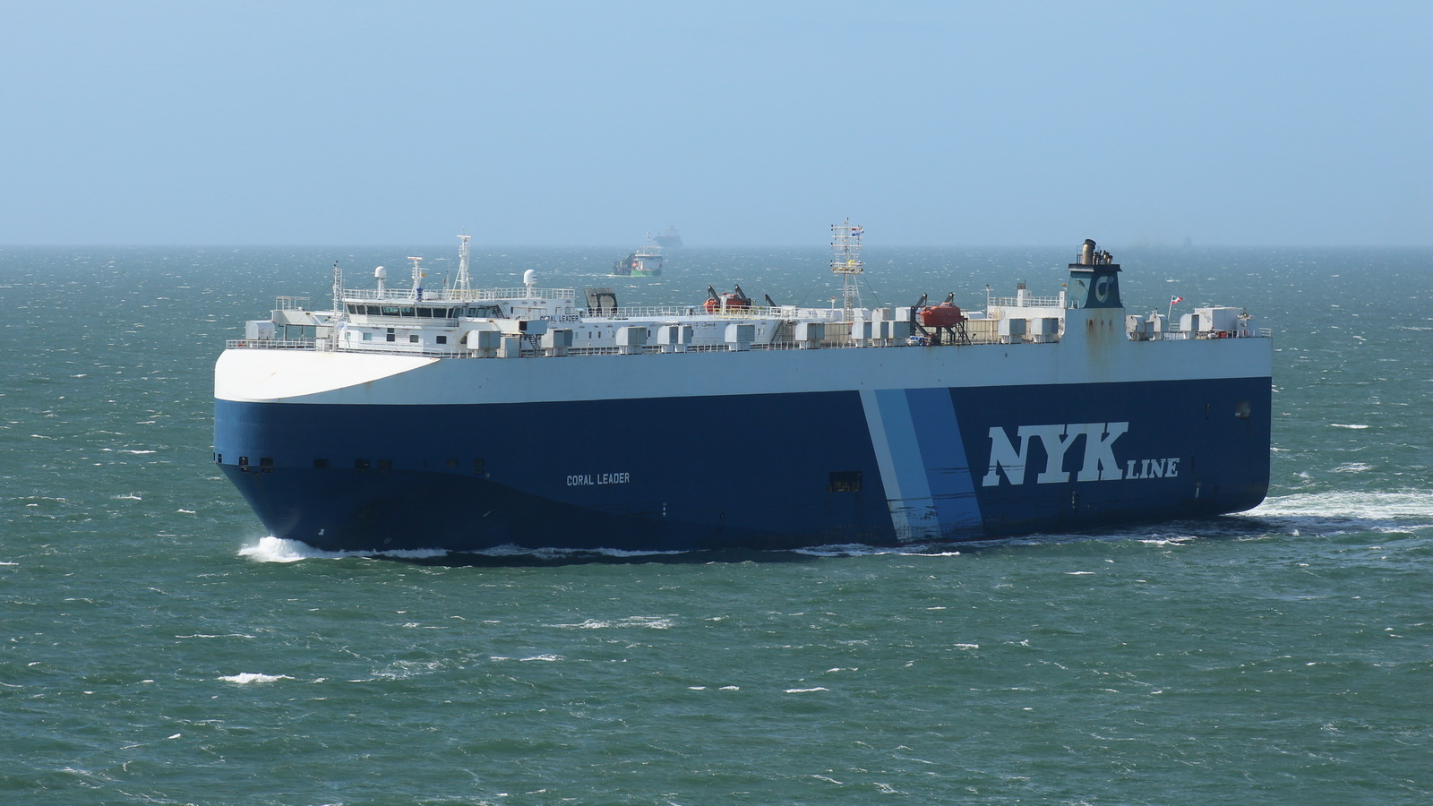 Coral Leader