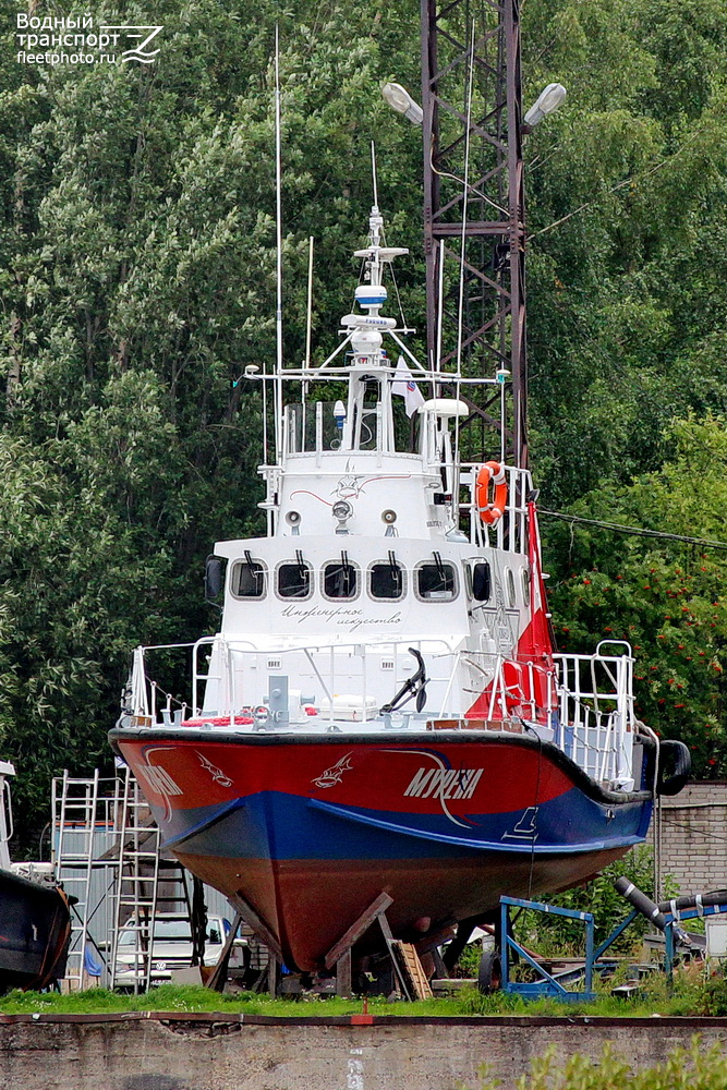 Мурена