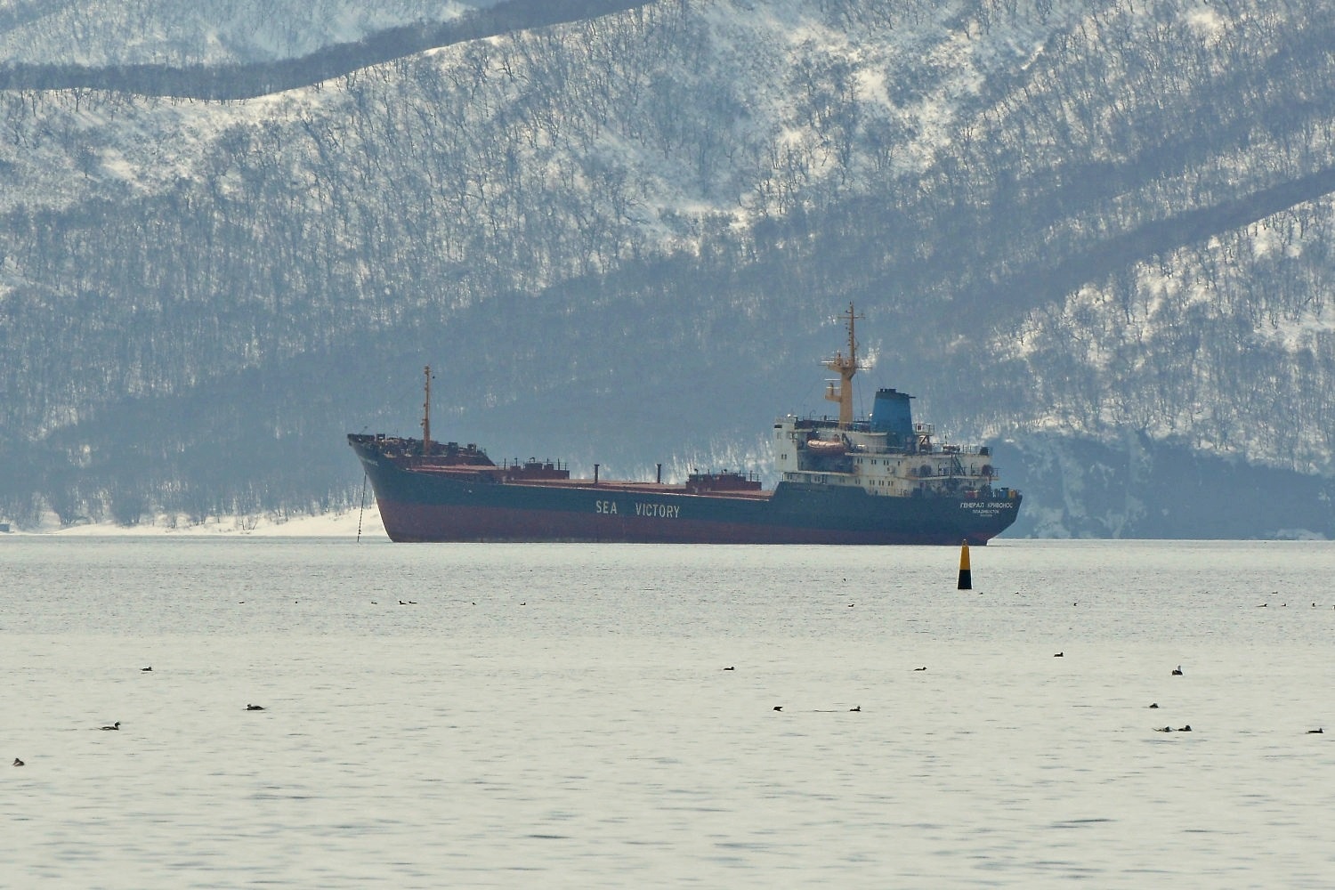 Генерал Кривонос