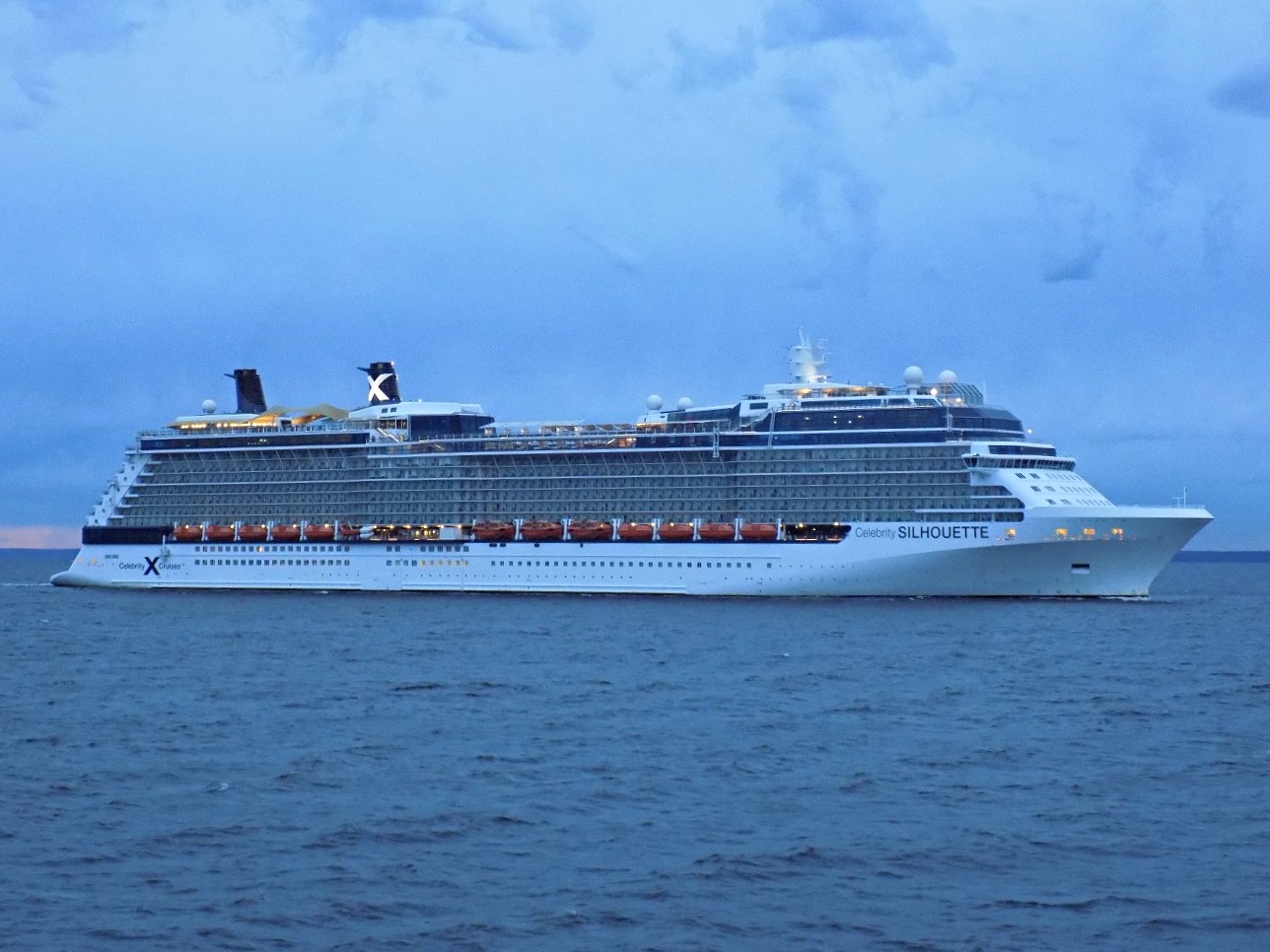 Celebrity Silhouette