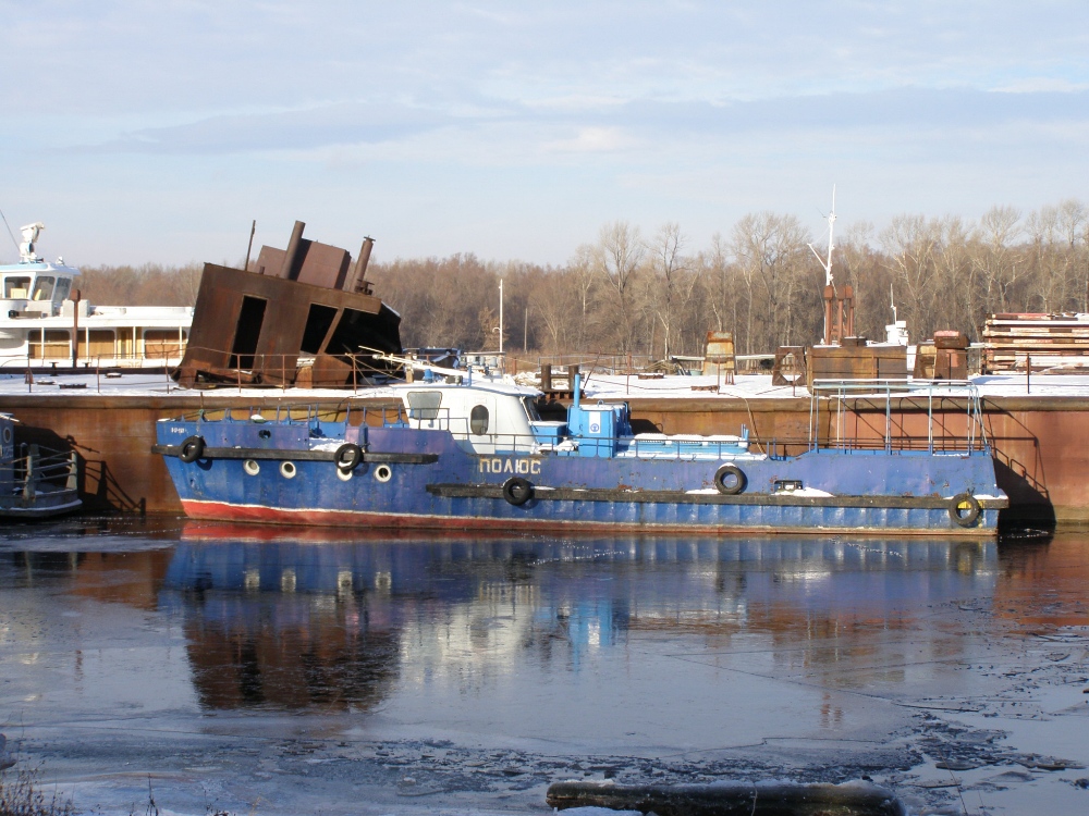 Полюс