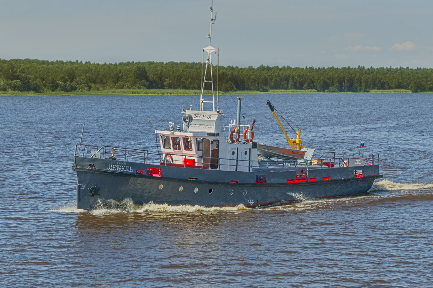 Лебедь