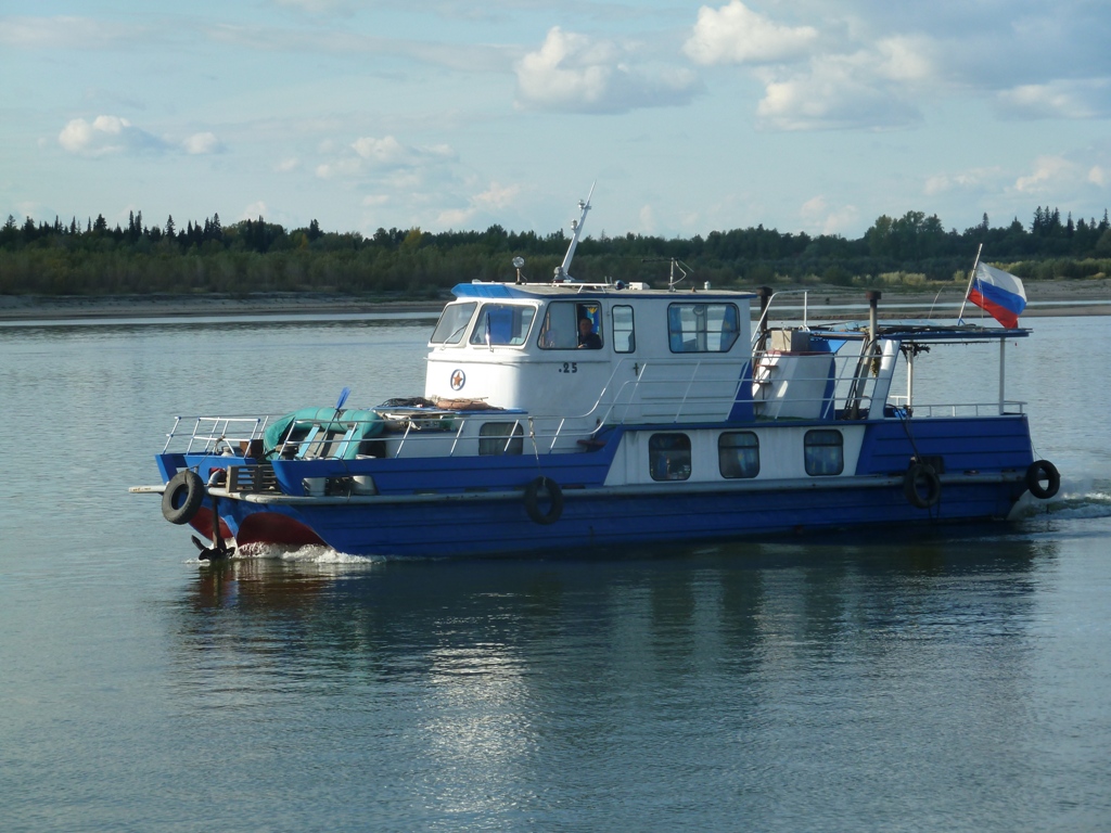 25